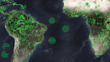 A partial world concentration map in dark blue and white with scattered clusters of green points 