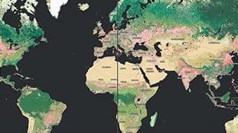 Colorful map of the globe