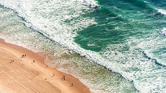 A group of observers on the beach, looking out into the ocean