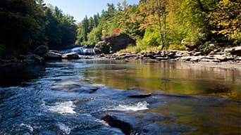 A river stream with a rocky, tree-lined shore