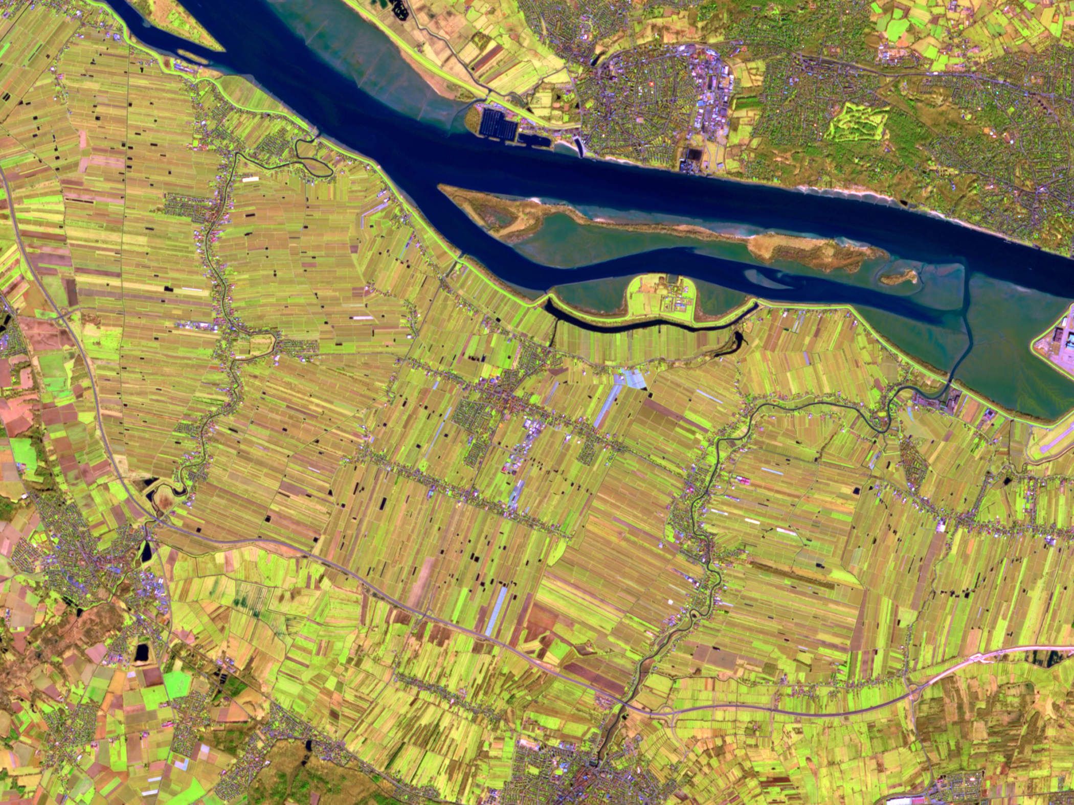 A map showing remotely sensed imagery analyzing crop health with geospatial tools in ArcGIS Pro