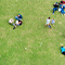 Grassy park with people picnicking and playing games