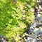 An aerial photo of a boulder-filled river running through a rocky green hillside