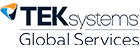 TEKsystems icon
