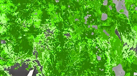 A map with different areas highlighted in varying shades of green overlaid with a play button