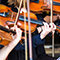 A row of violinists wearing black playing music together with a music stand in front of each