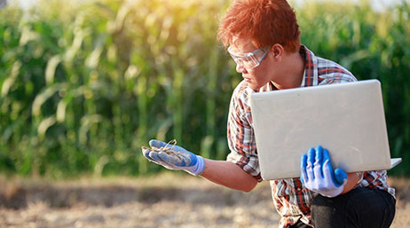 Om de știință care se află pe câmp, are un laptop în mână și studiază o plantă